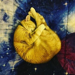 Meet your Posher, Cheyenne